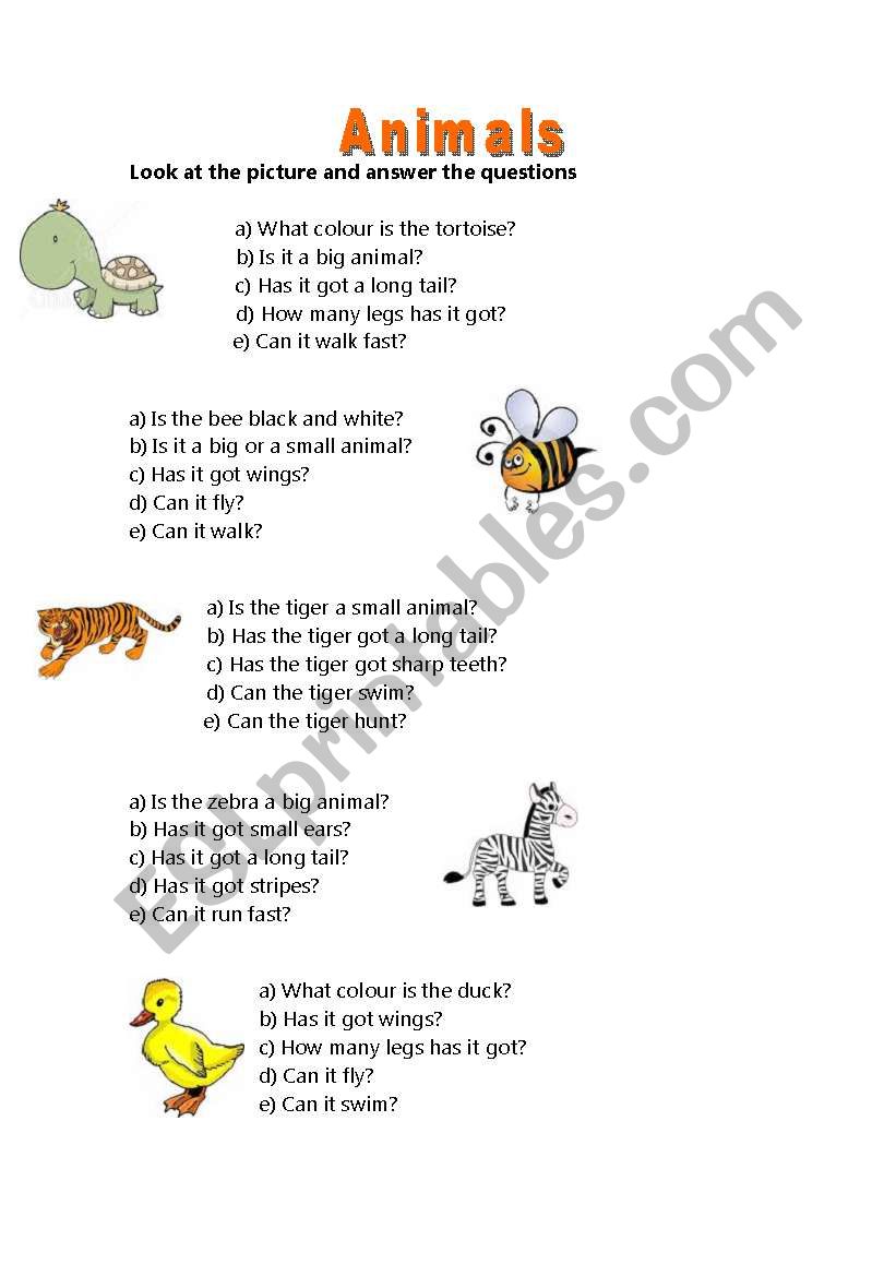 Answer about the animals worksheet
