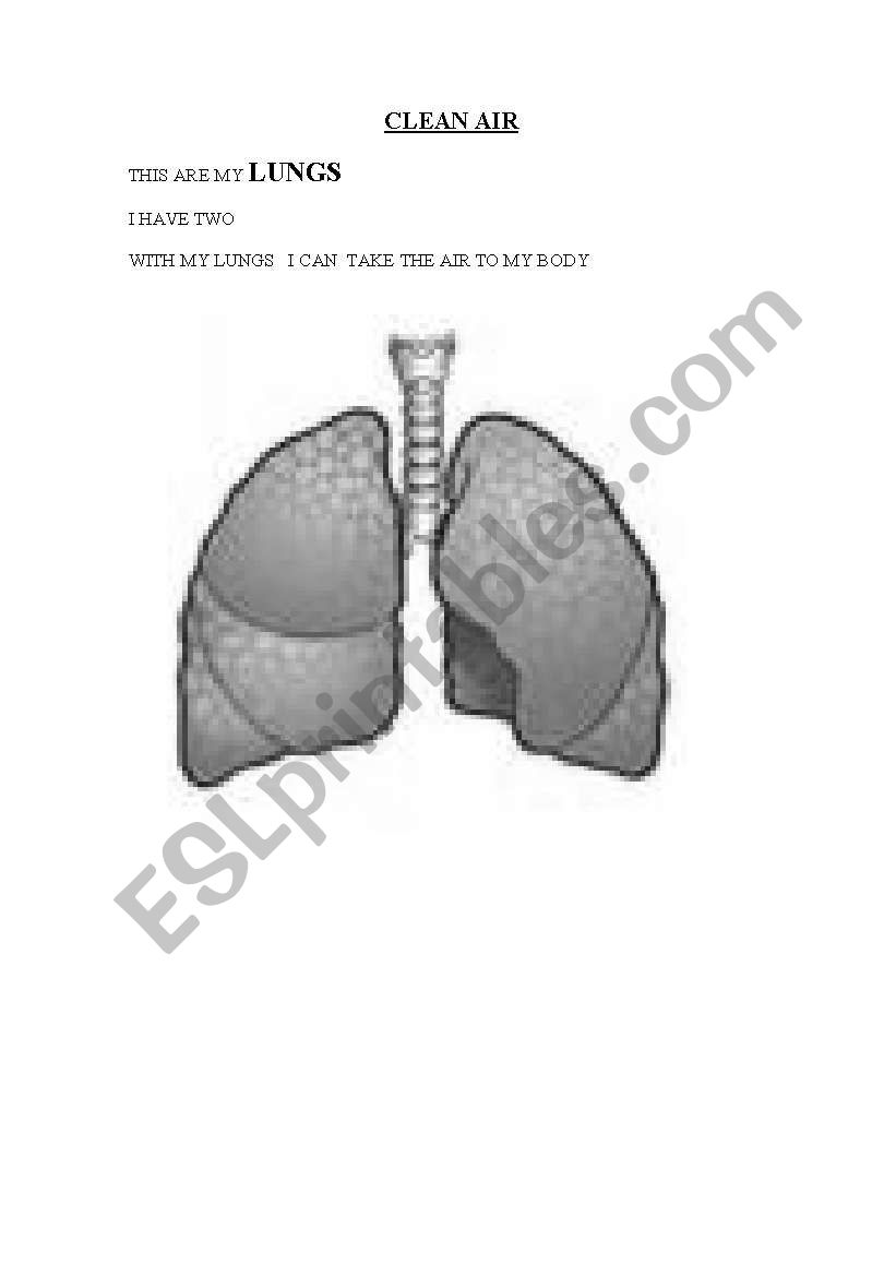 clean air worksheet