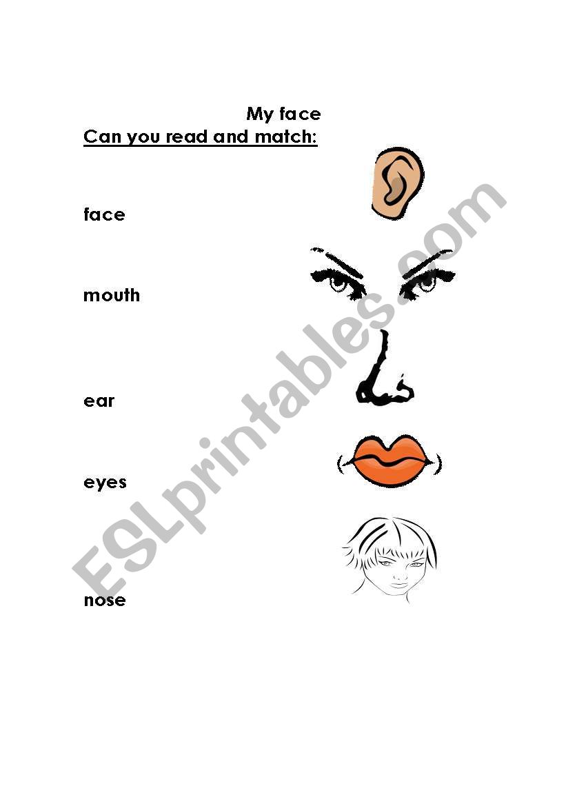 my face worksheet