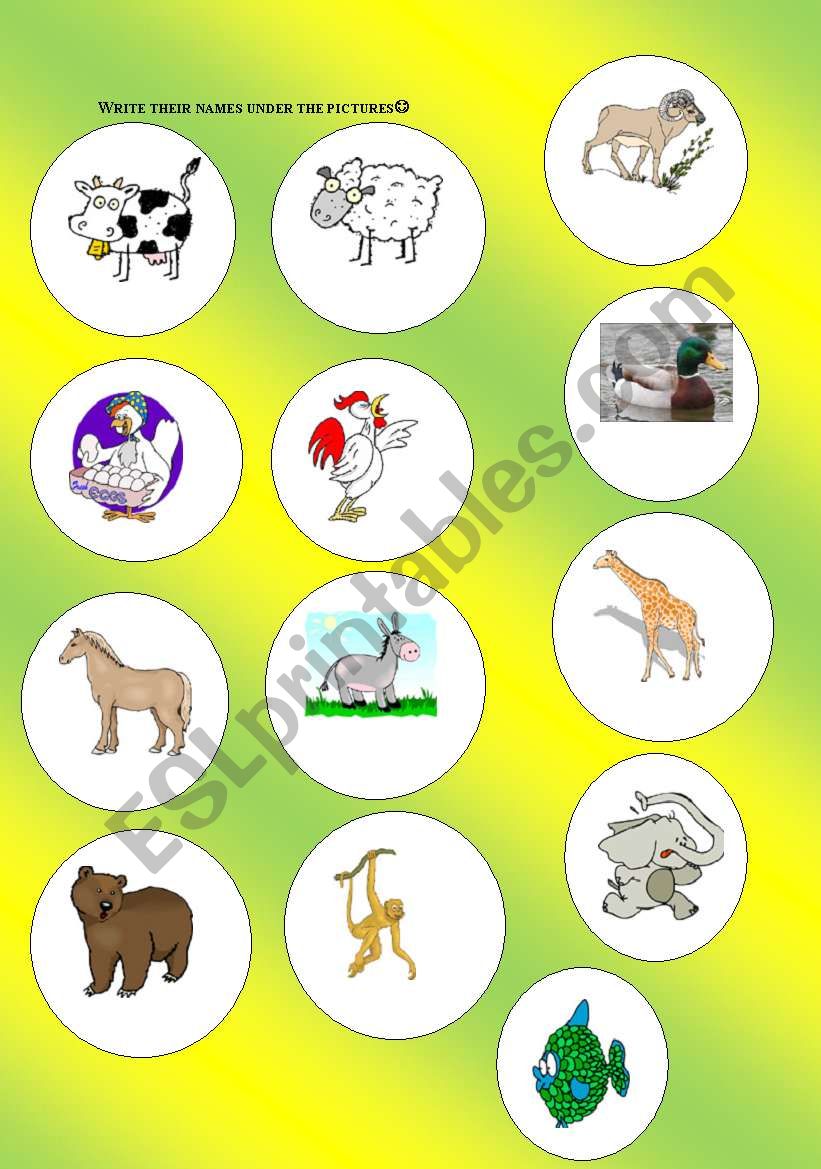 animals worksheet