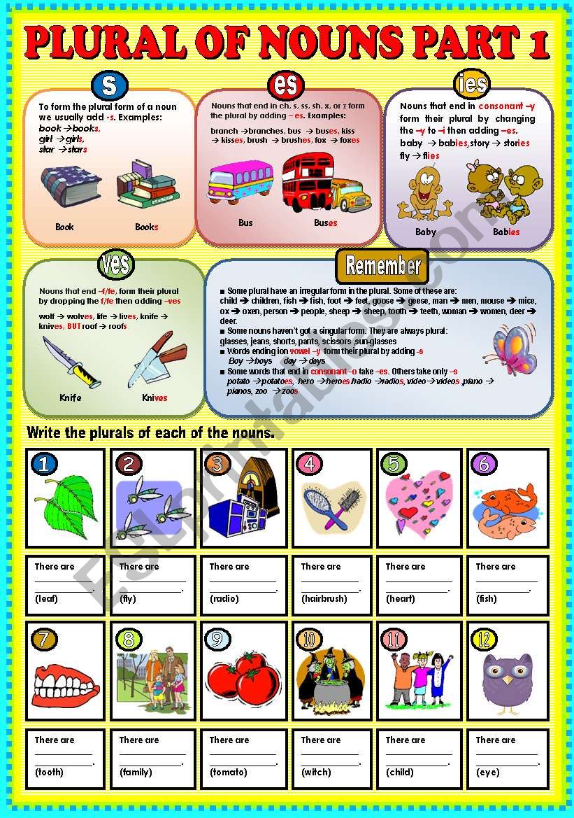 Plural of nouns part 1 worksheet