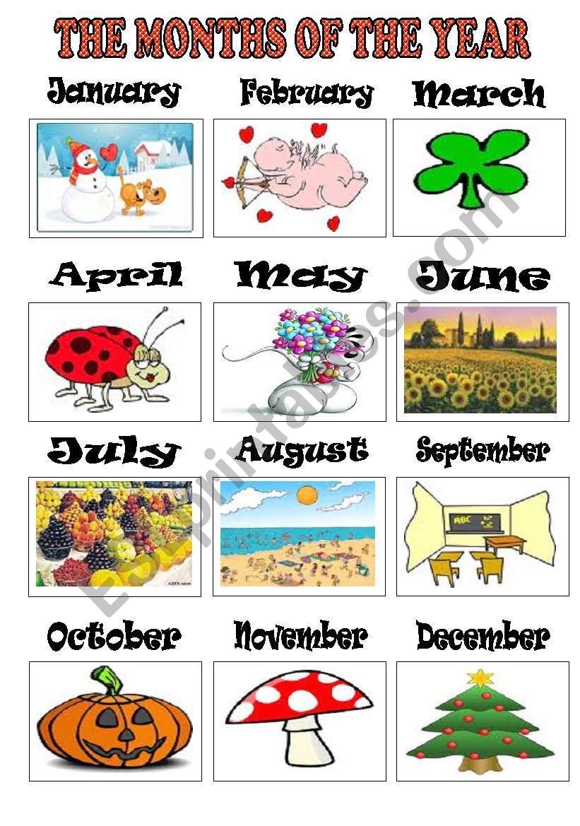 the months of the year worksheet