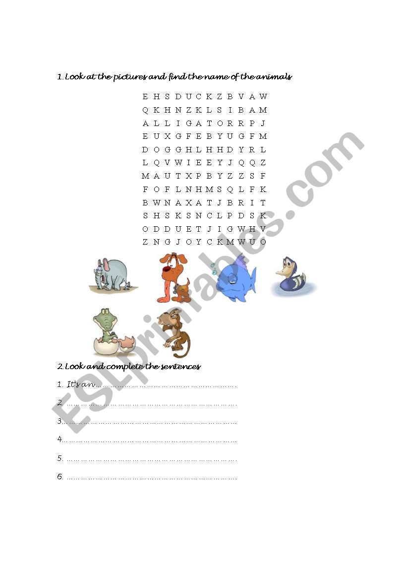 animals worksheet