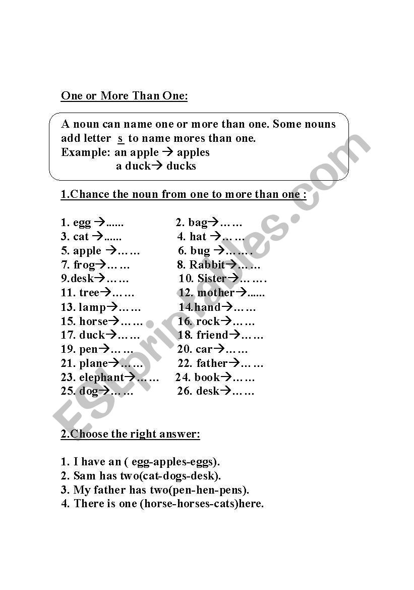 regular plurals worksheet