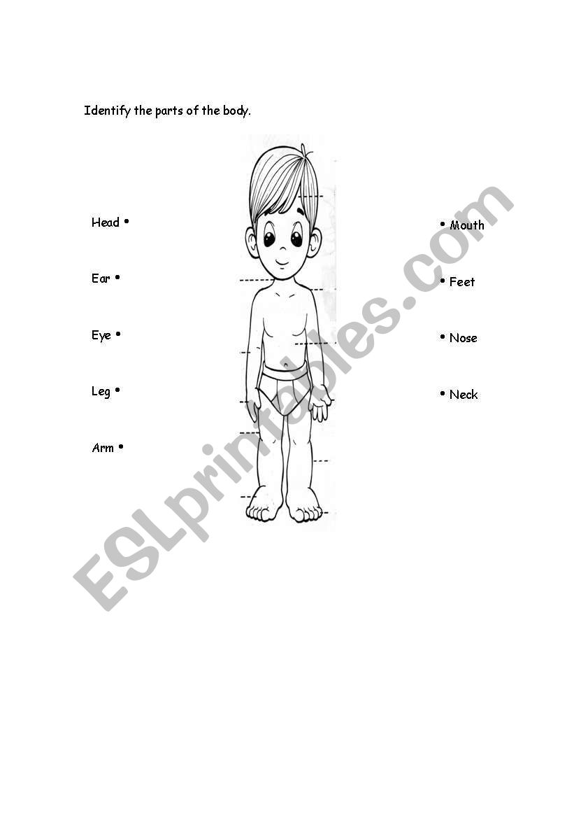 Parts of the Body worksheet