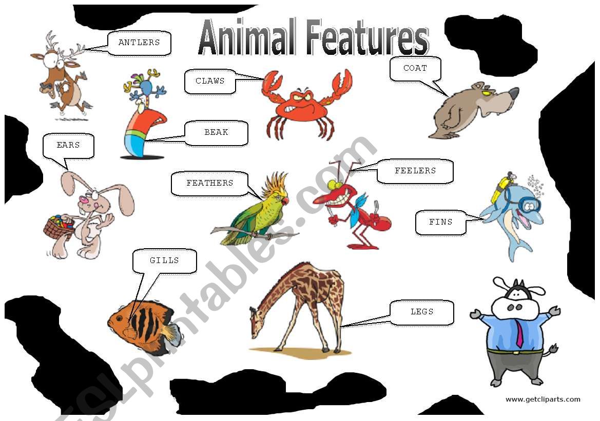 Animal Features (1/2): Picture Dictionary - ESL worksheet by nessita77