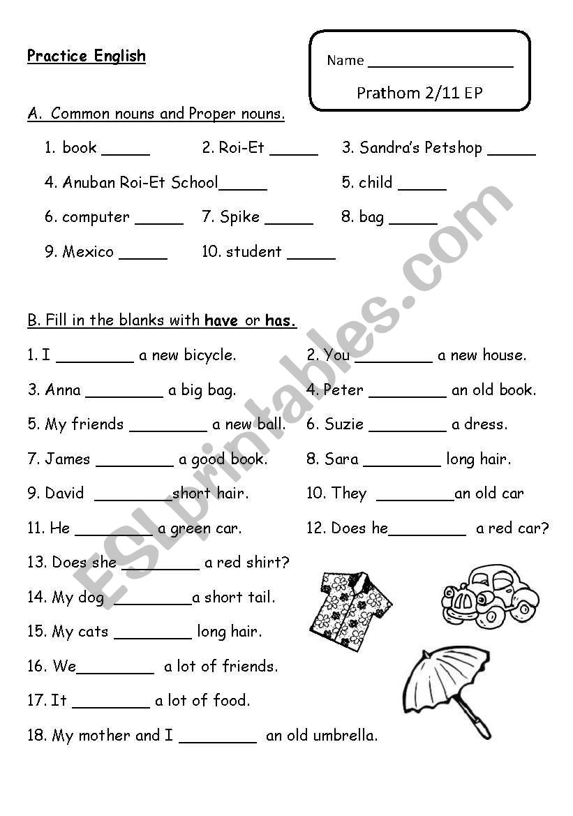 have has plurals worksheet