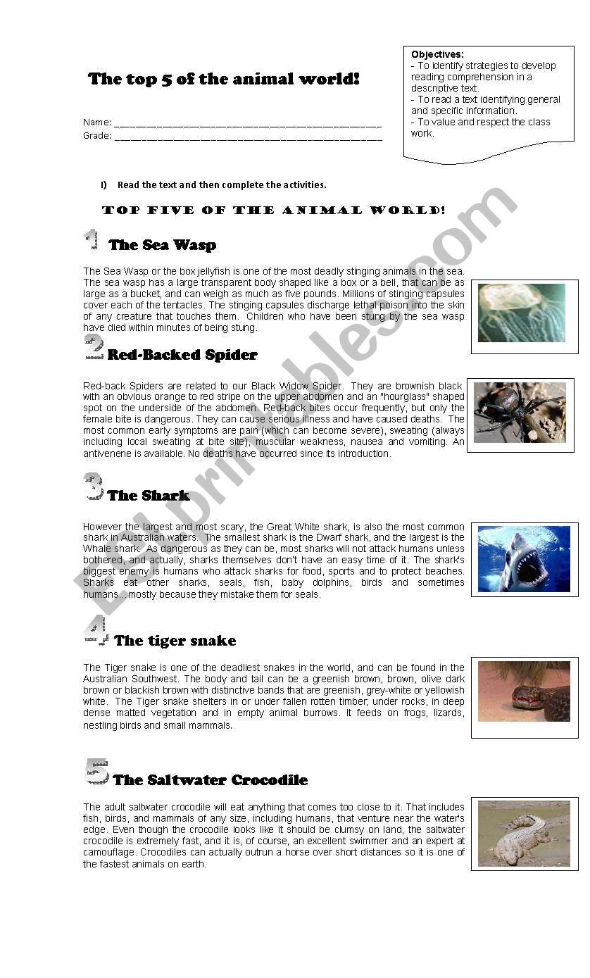 top 8 animals  worksheet