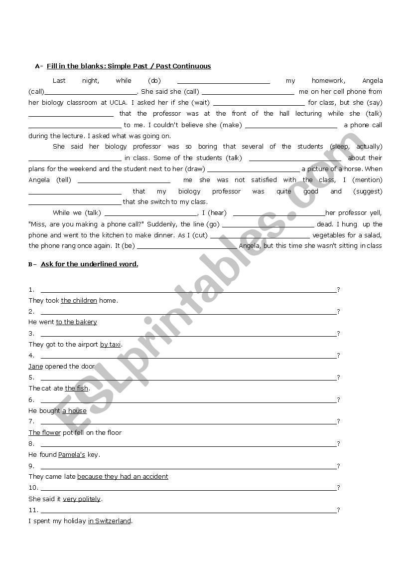 simple past- past continuous worksheet