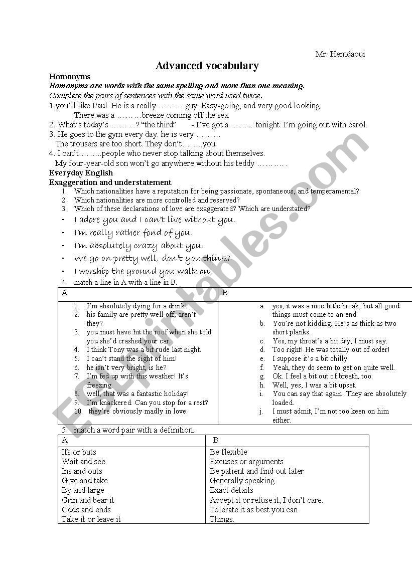 vocabulary homonyms worksheet