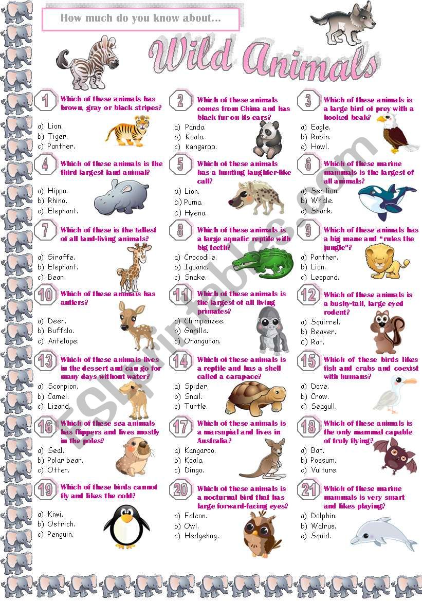 Wild Animals - Quiz worksheet