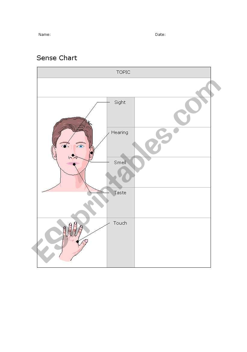 Sense Chart worksheet