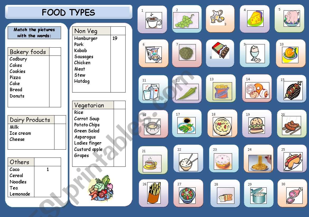 FOOD TYPES worksheet