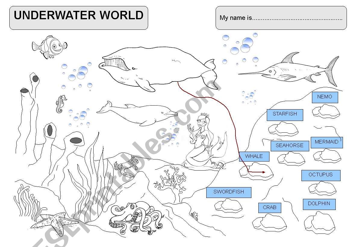 Underwater world worksheet