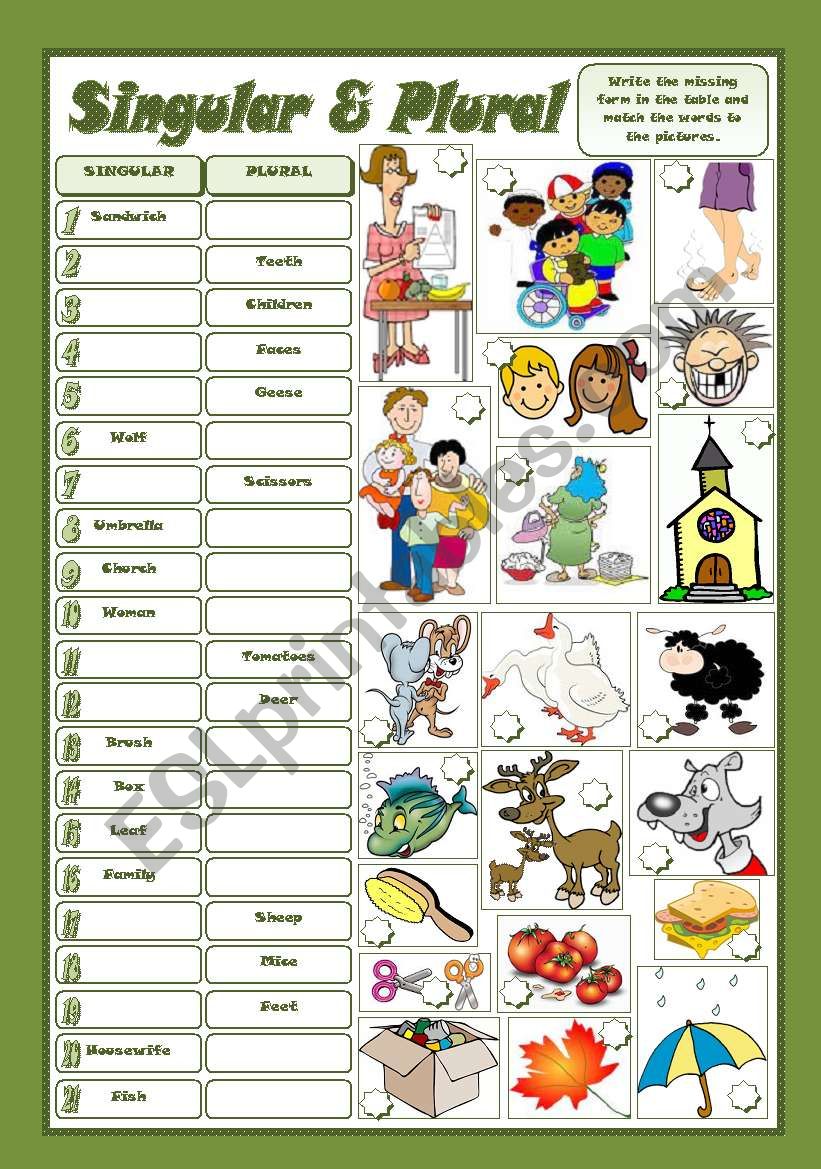 SINGULAR & PLURAL - ESL worksheet by mariaolimpia