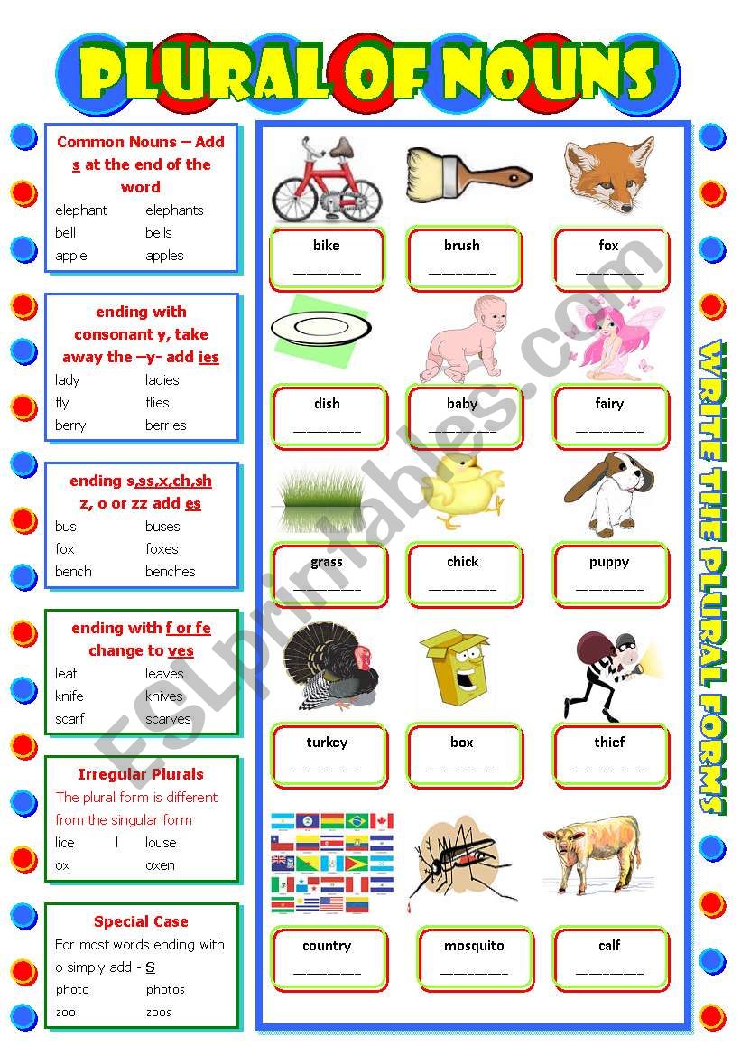 Plural of Nouns worksheet