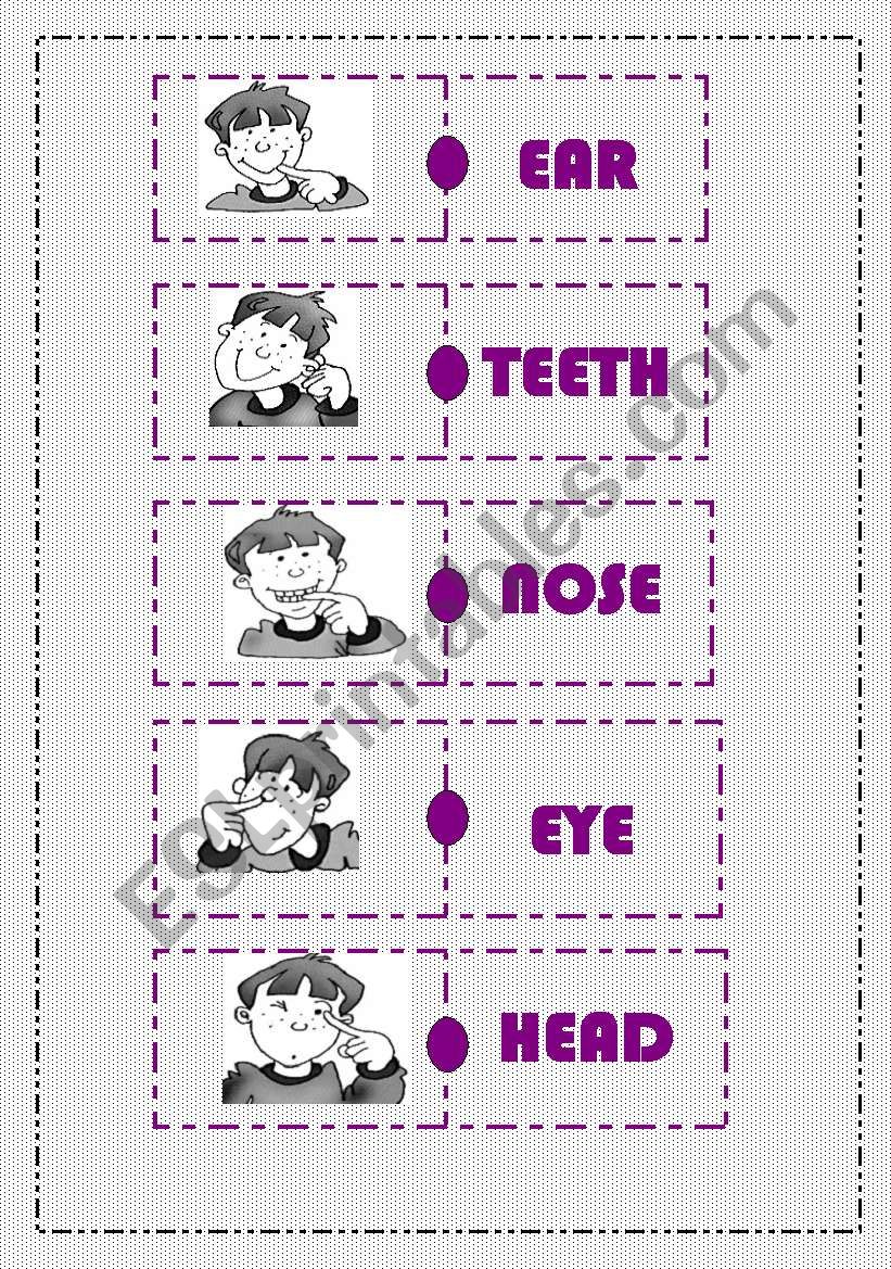 BODY PARTS DOMINO worksheet