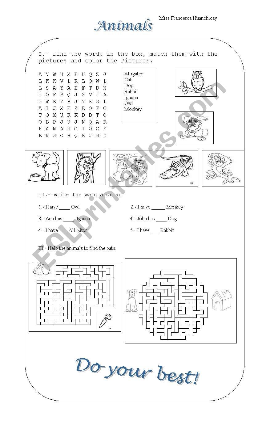 animals worksheet