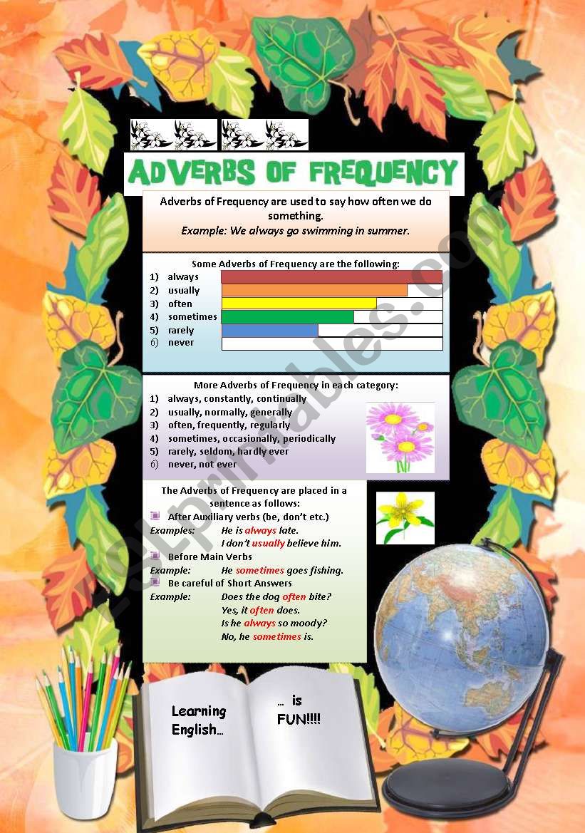 ADVERBS: ADVERBS OF FREQUENCY worksheet