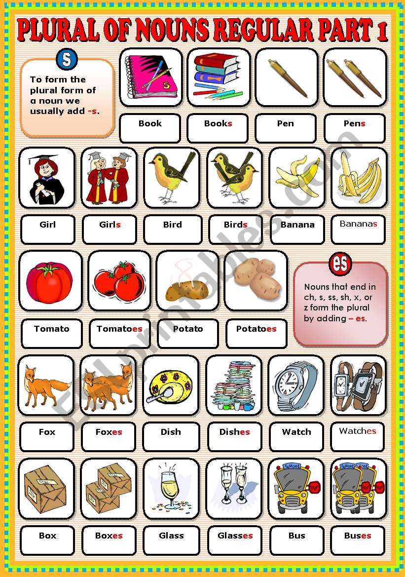 plural-of-nouns-regular-part-1-pictionary-esl-worksheet-by-ayrin