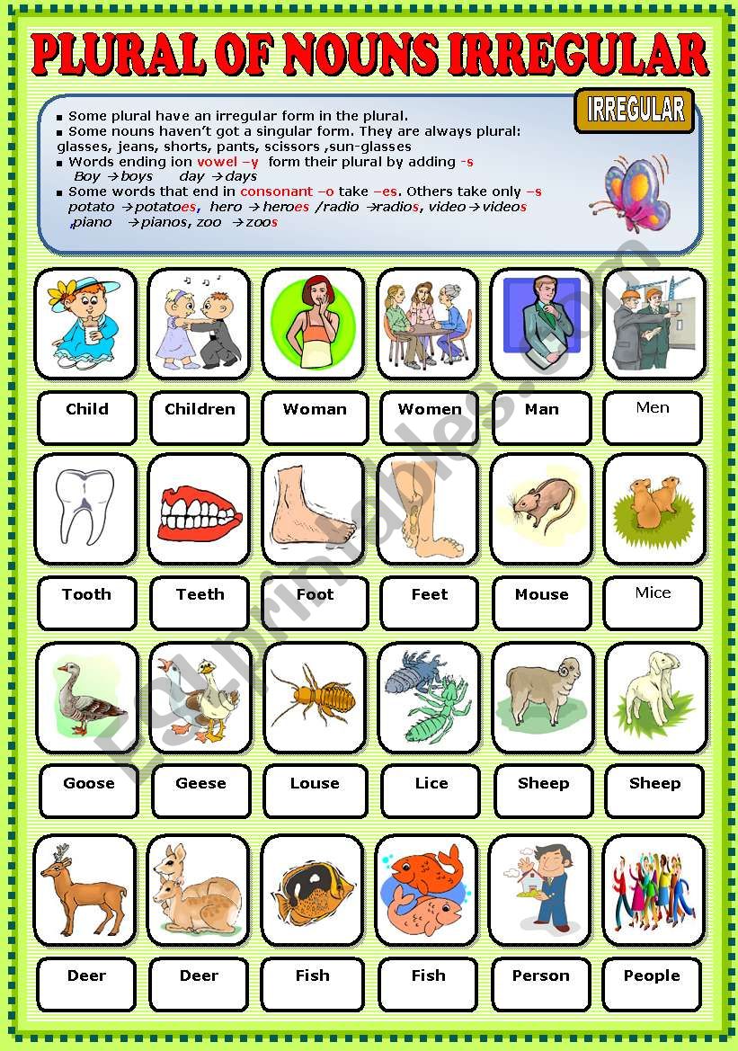 plural-of-nouns-irregular-pictionary-esl-worksheet-by-ayrin