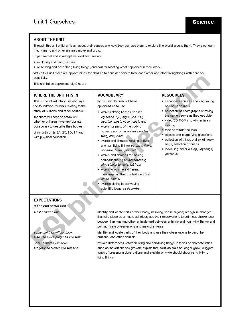 Ourselves worksheet