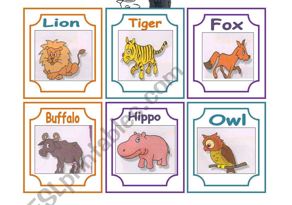 ANIMAL FLASH CARDS worksheet