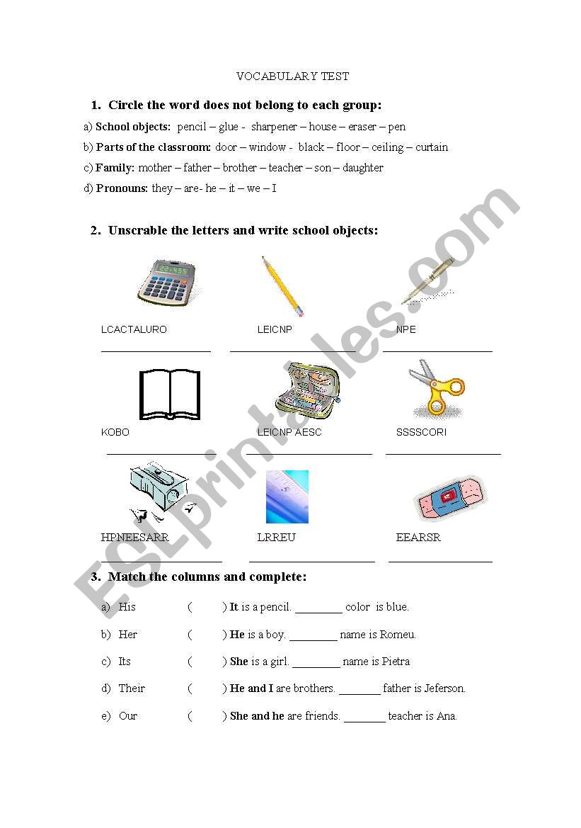 VOCABULARY TEST worksheet