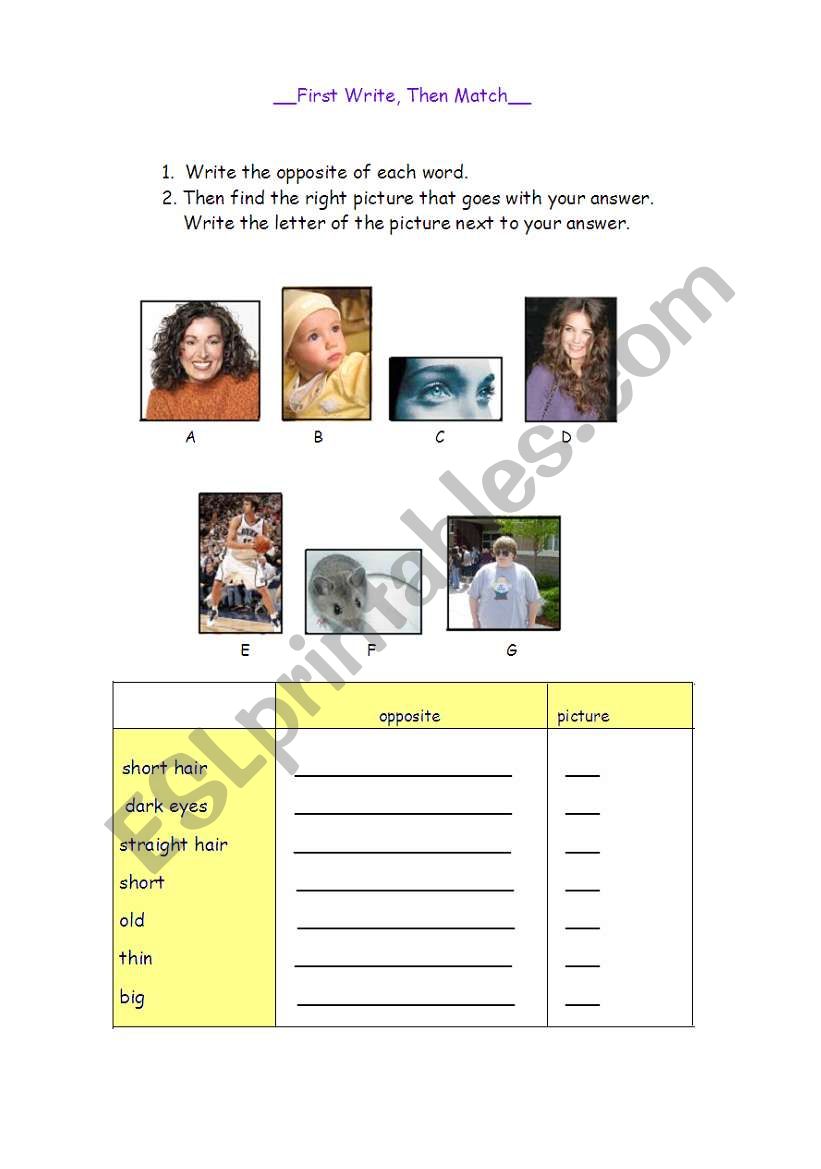 Adjectives worksheet