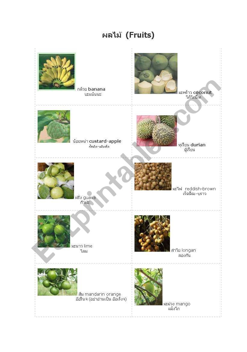 fruits worksheet