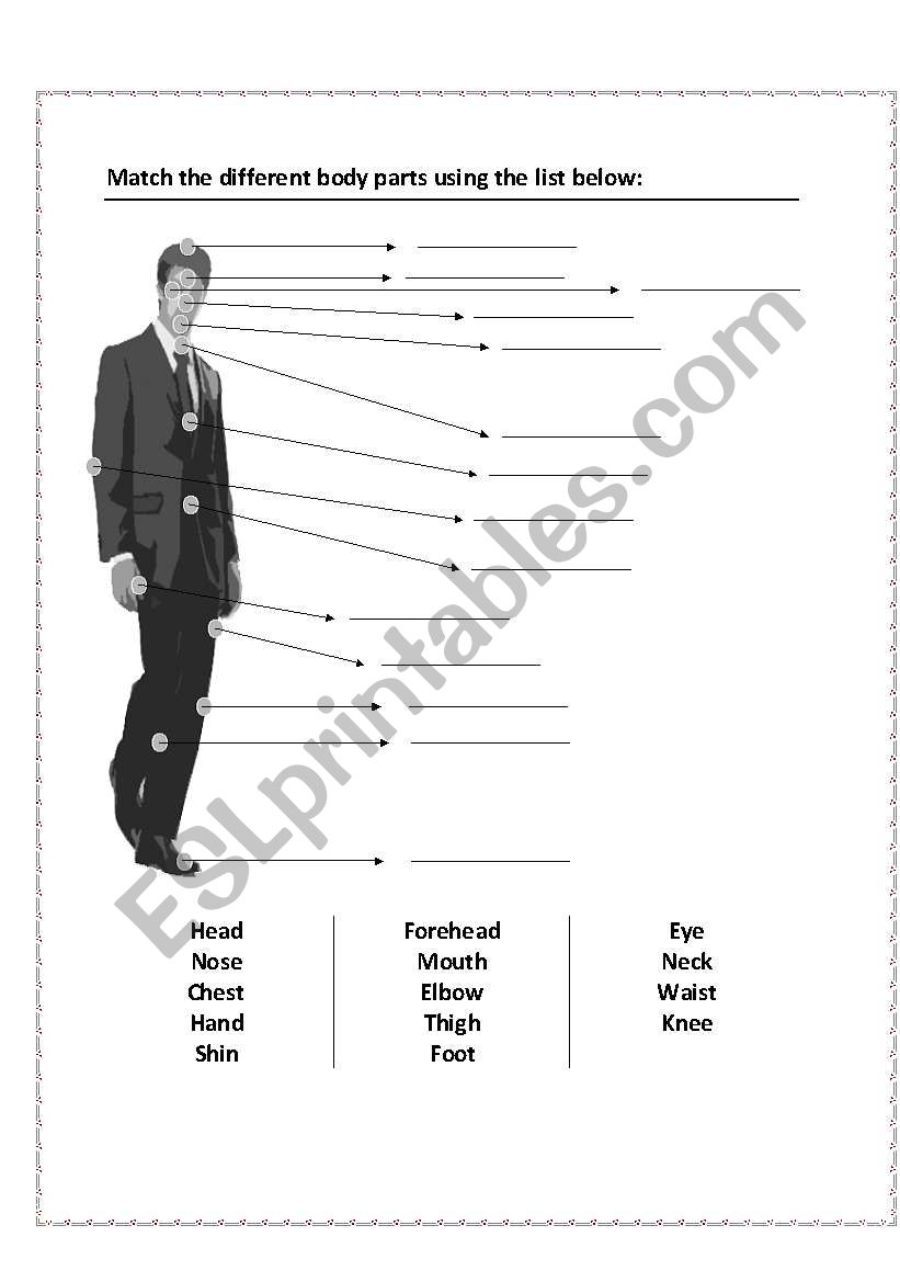 Match the different body parts