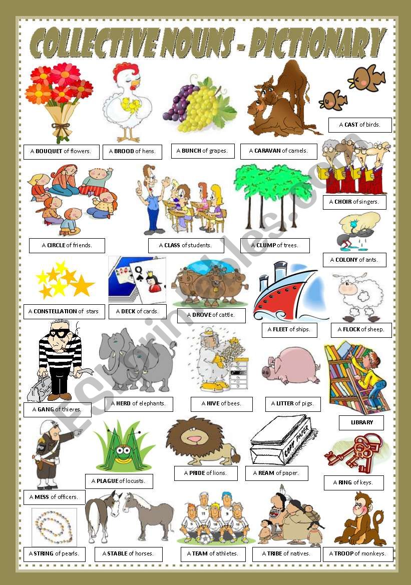 Activity Sheets - Sunbird Books