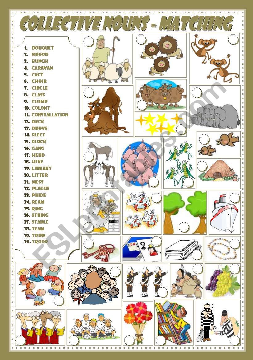 COLLECTIVE NOUNS Matching ESL Worksheet By Mariaolimpia