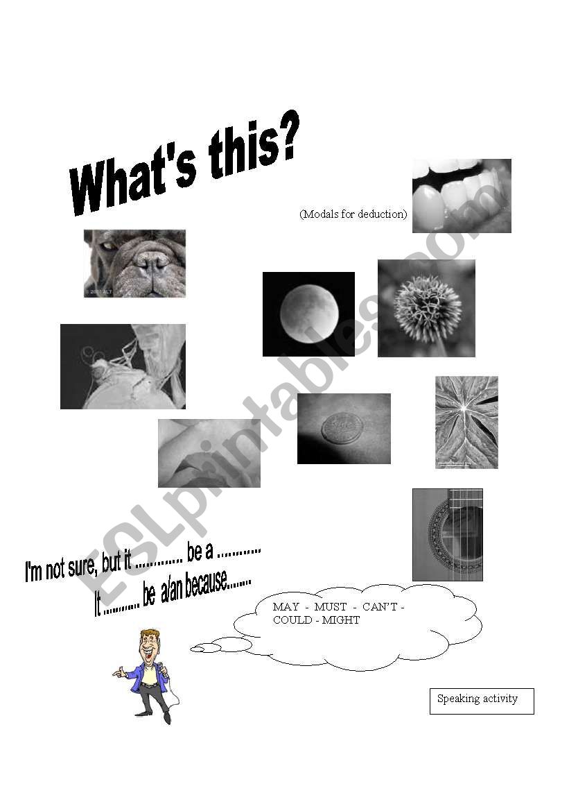 WHAT CAN YOU SEE? worksheet