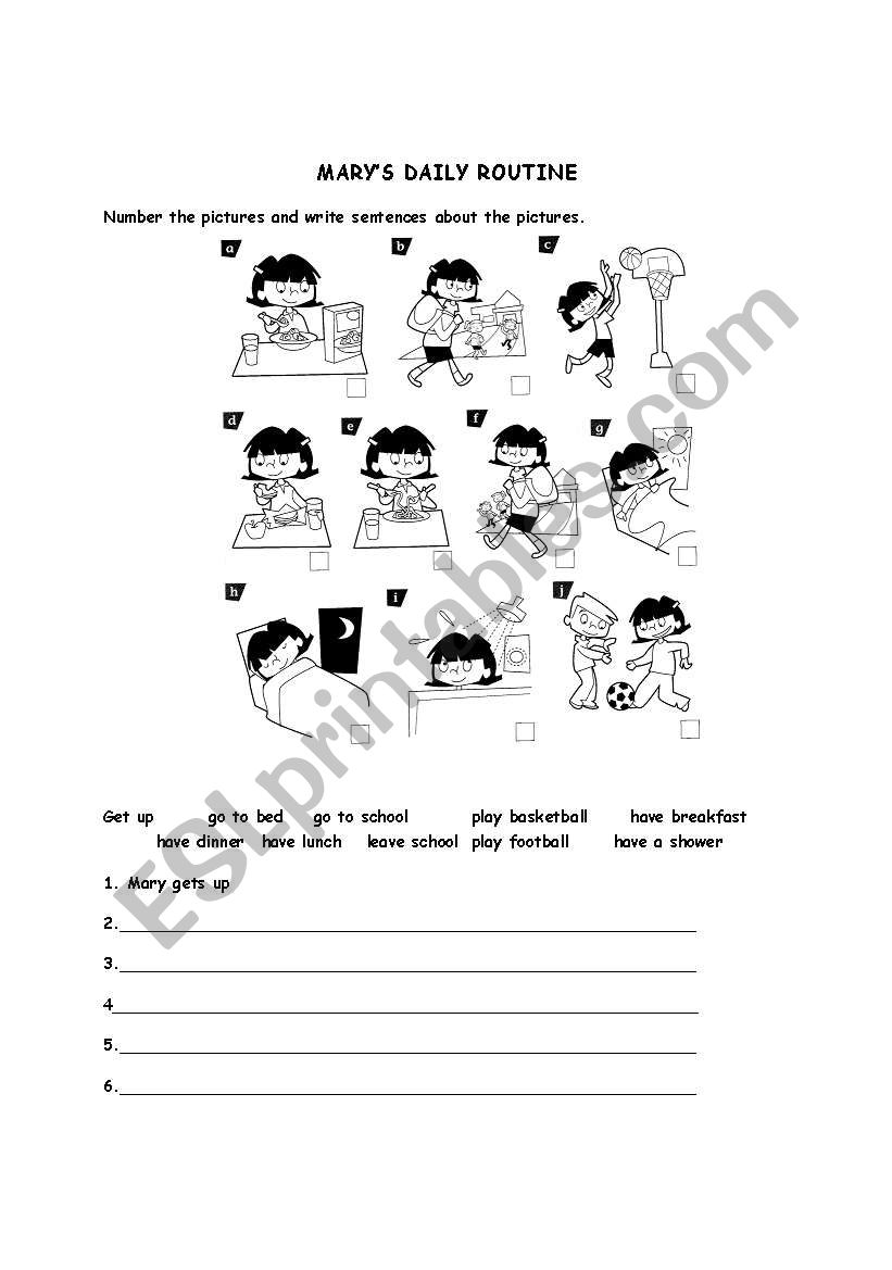 Daily Routine worksheet