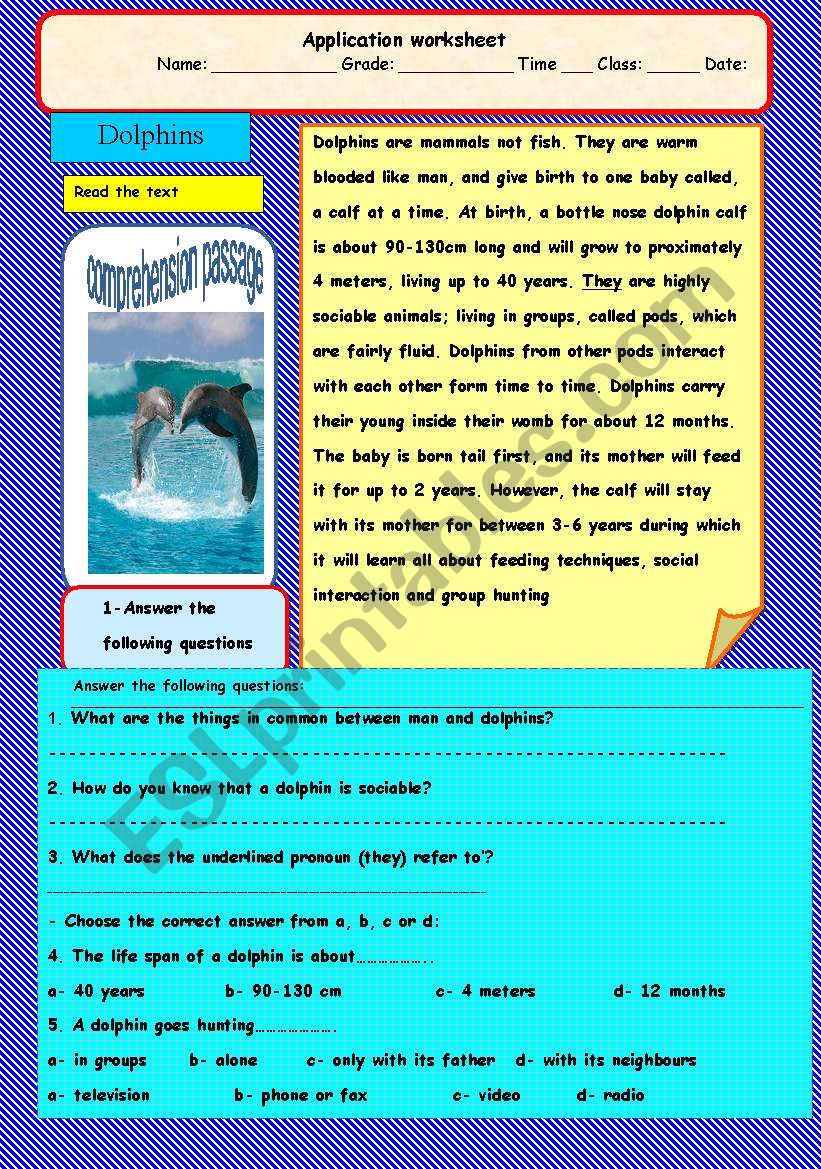 Dolphins-A comprehension passage