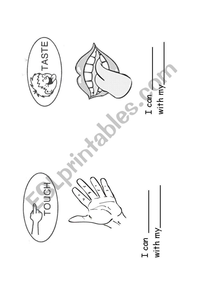 My 5 senses...MiniBook worksheet