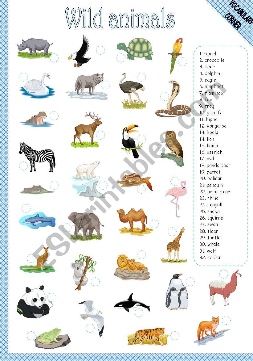 WILD ANIMALS - MATCHING worksheet