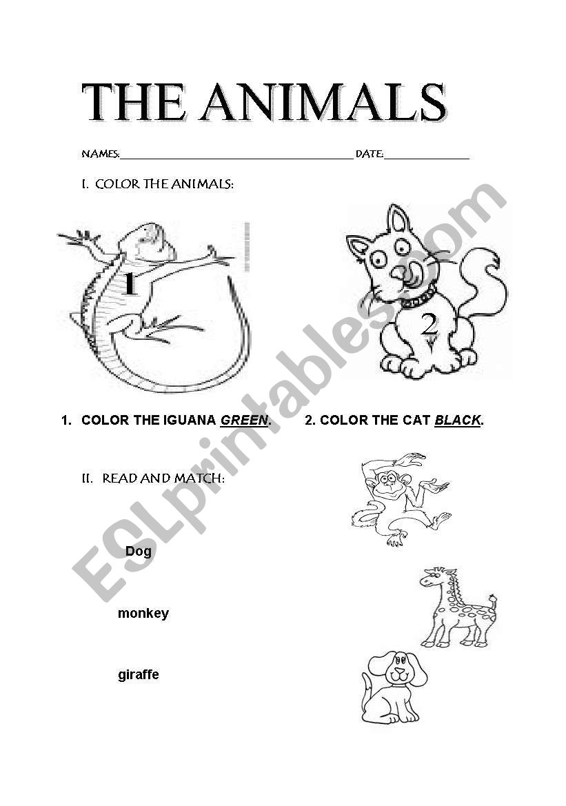 tHE animals !!! worksheet