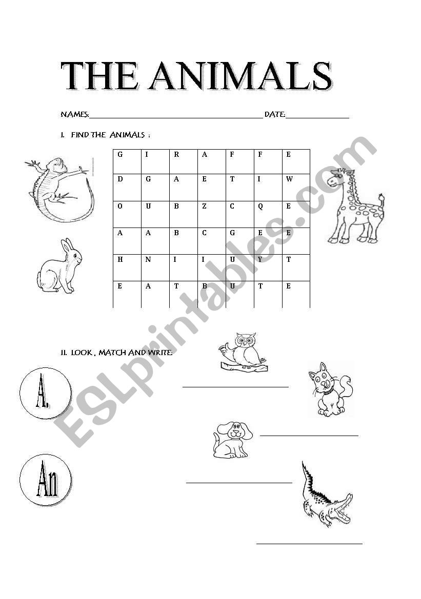 learning the animals  worksheet