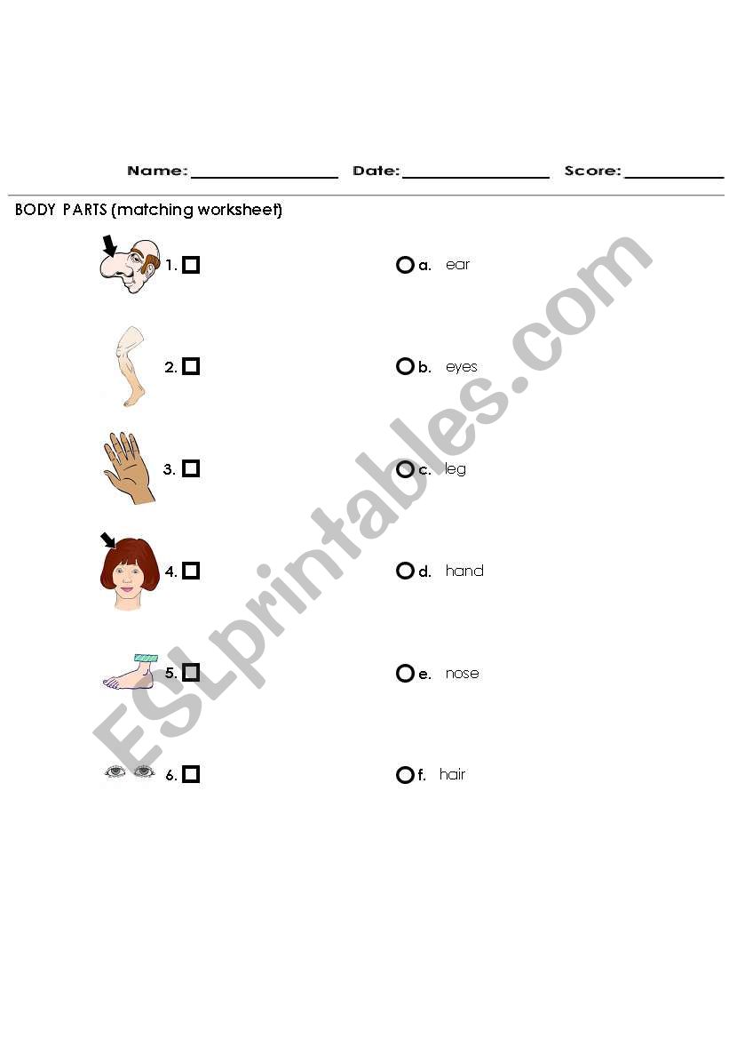 Body Part  worksheet