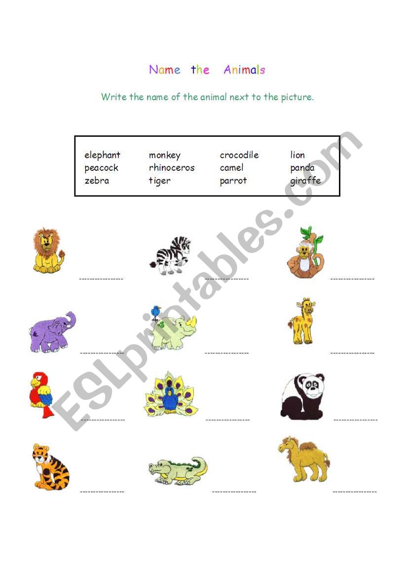 Cute Animals worksheet