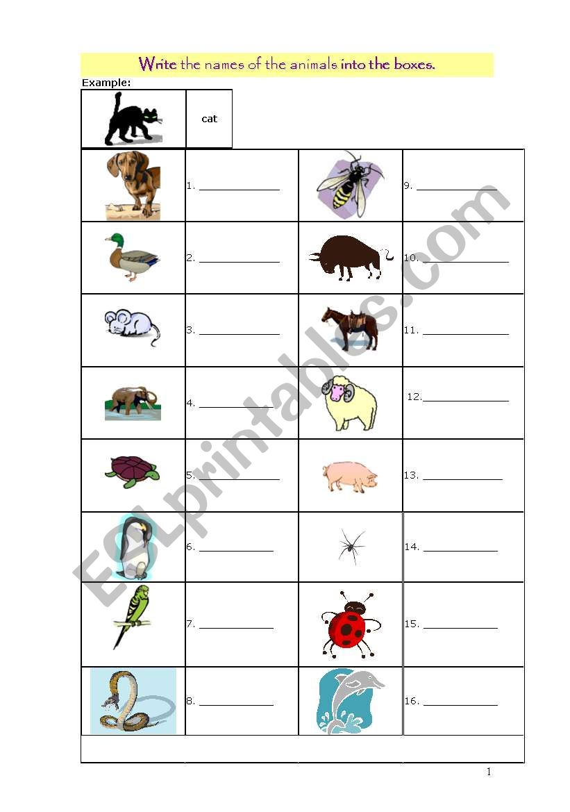 Animals 1 worksheet