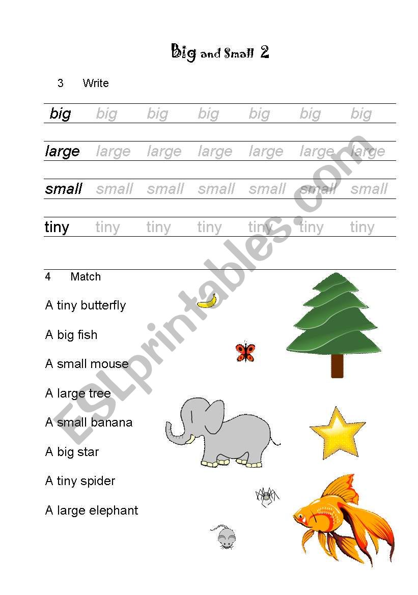 Big and Small 2  worksheet