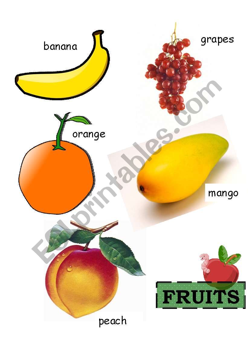 fruits worksheet