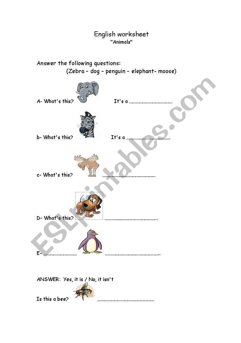 animals worksheet