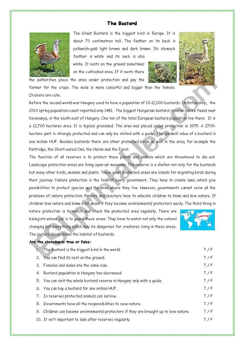 protected birds worksheet