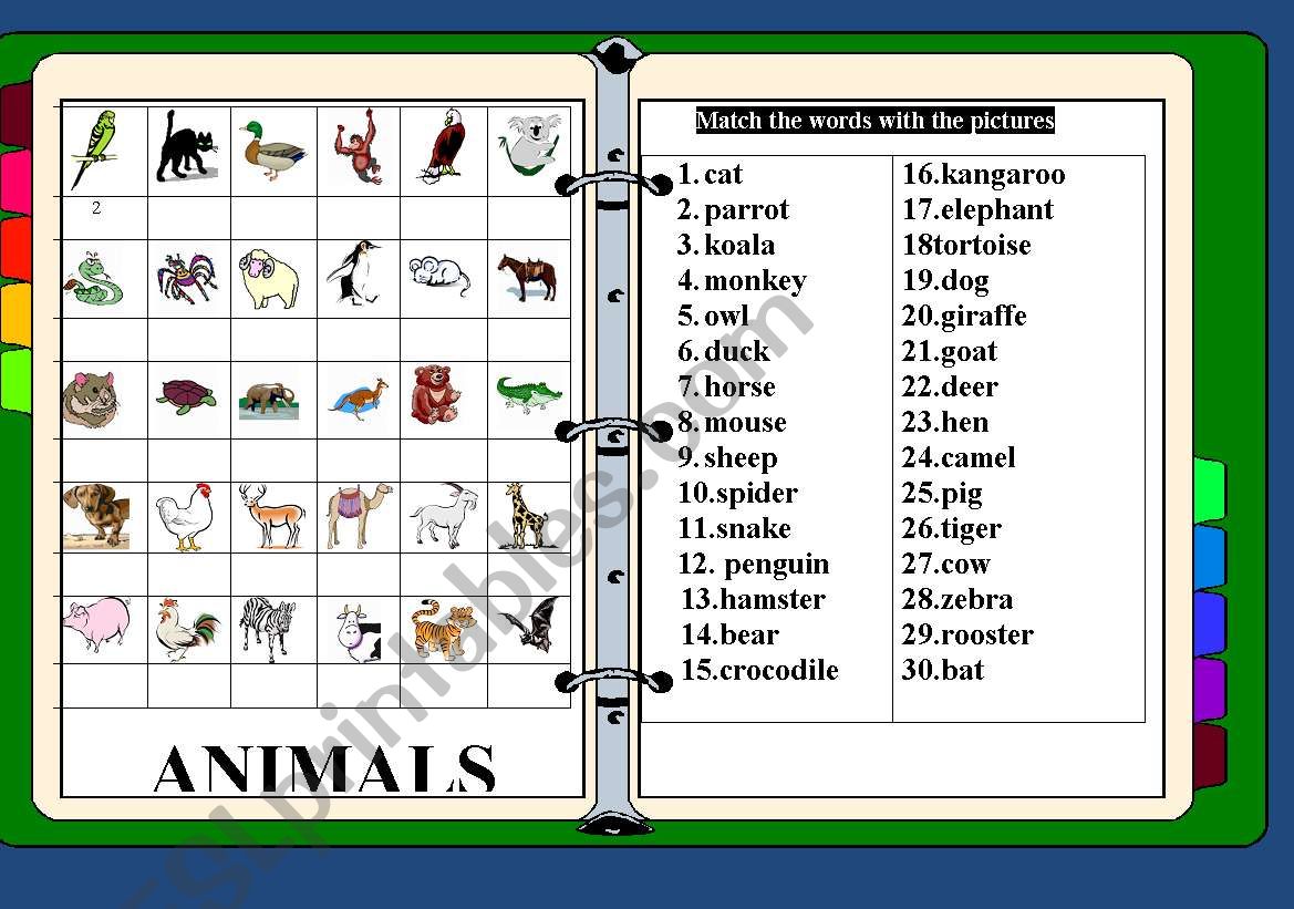 Animals /matching worksheet
