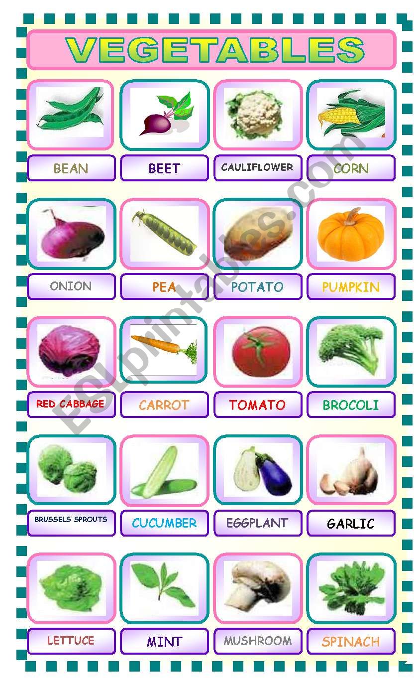 vegetable pictionary worksheet