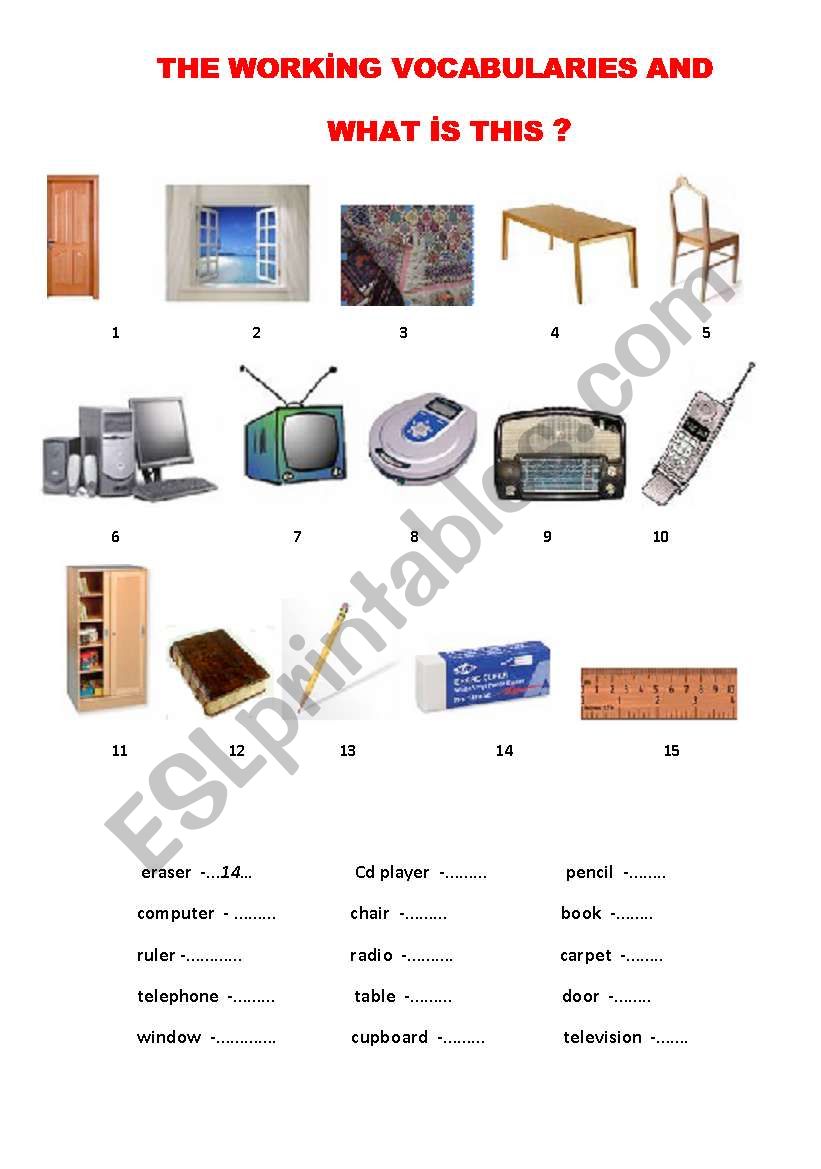 THINGS AND WHAT IS THIS? worksheet